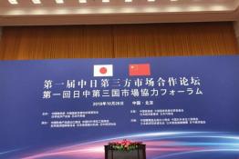 安倍晉三訪華 協(xié)鑫、天合和晶科為光伏行業(yè)長臉了！