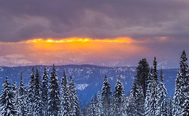 比利時(shí)居民面臨冬季供電短缺 積極應(yīng)對(duì)