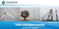 中國(guó)海上風(fēng)電發(fā)展現(xiàn)狀與前景展望