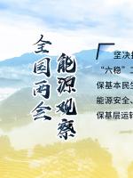 讀圖｜2020政府工作報告中這些內(nèi)容，和能源電力有關(guān)！