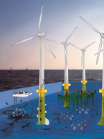 參考 | “海上風(fēng)電+海洋牧場(chǎng)” 精彩圖片分享！