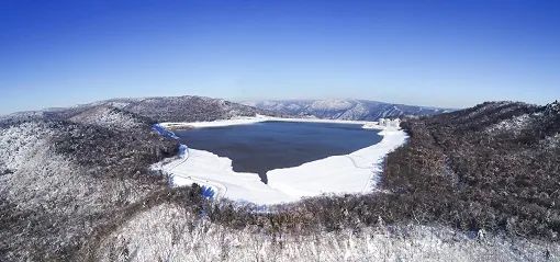國網(wǎng)董事長辛保安與哈電集團(tuán)董事長曹志安會談
